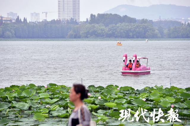 “白露”到“秋老虎”蹦跶的日子没几天了CQ9电子 CQ9传奇(图2)
