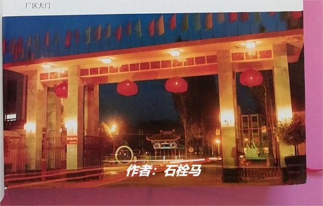 CQ9电子 CQ9传奇电子李少莉九零年代从内蒙古棉纺织厂的精准一跳改变了她的人生轨迹(图4)