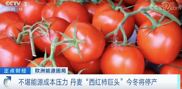 CQ9电子 CQ9传奇电子放假！放假！汽车、纺织、化工、食品多行业被迫“停业”