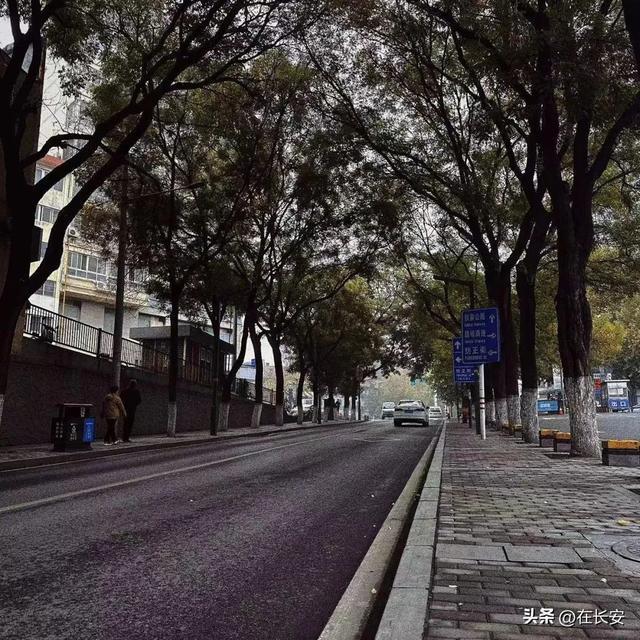 CQ9电子 CQ9传奇电子你好纺织城(图13)