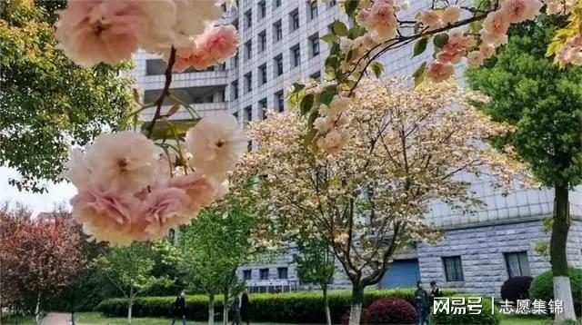 武汉CQ9电子 CQ9传奇电子纺织大学什么专业好？这一专业点燃梦想值得选择！(图3)