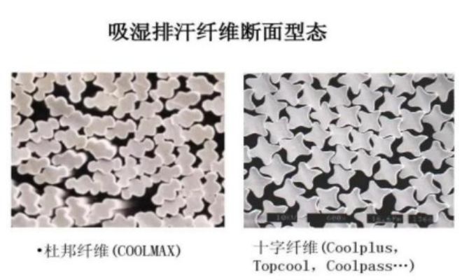 CQ9电子 CQ9传奇电子【纺织原料】3分钟带你了解吸湿排汗纺织品的基本原理(图2)