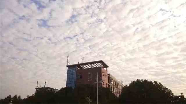 CQ9电子 CQ9传奇电子武汉纺织大学怎么样？名师云集教师入选全球榜单！(图2)