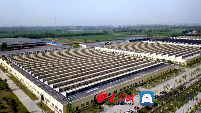 菏泽唯一！明胜纺织董事长尚胜友荣膺“全国优秀纺织企业家”CQ9电子 CQ9传奇电子(图2)