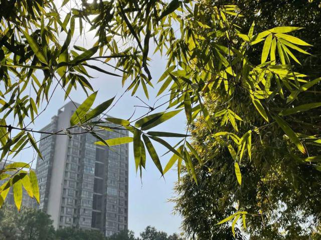 聊一聊：武汉纺织大学就业好不好？最新数据为你解答！CQ9电子 CQ9传奇电子(图2)