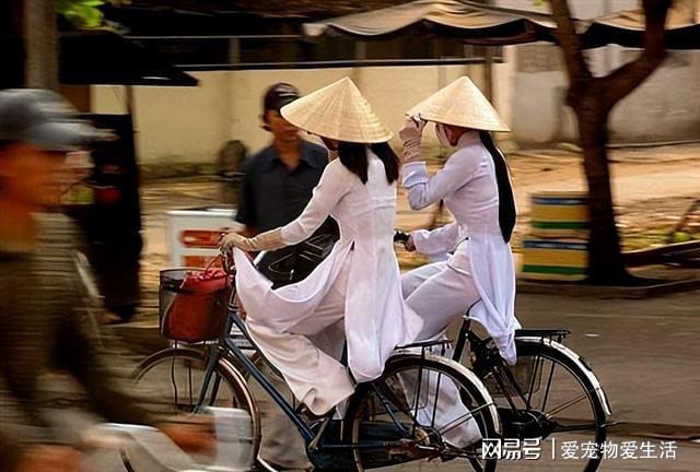 为何越CQ9电子 CQ9传奇电子南美女喜欢穿这种衣服难道不怕走光吗？学者：原因很简单(图7)