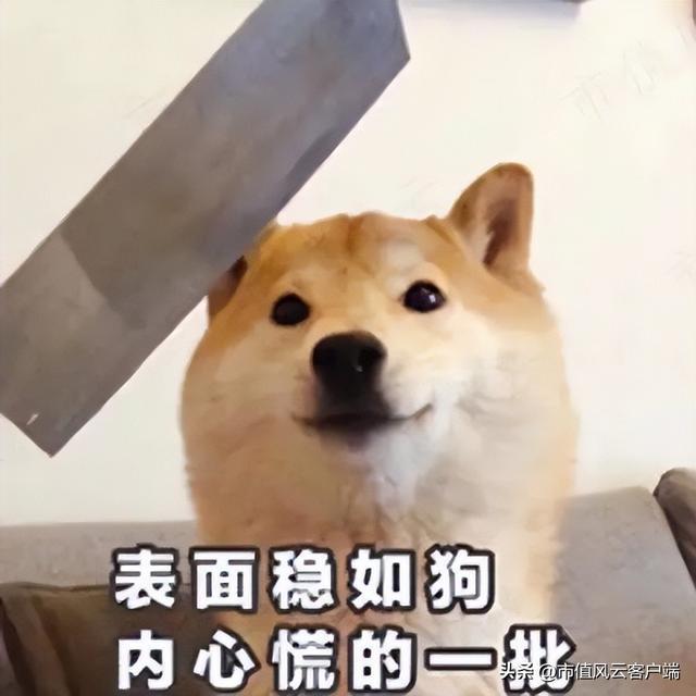 连续分红225亿七轮增持CQ9电子 CQ9传奇电子46亿：航民股份中国村企致富经！(图8)