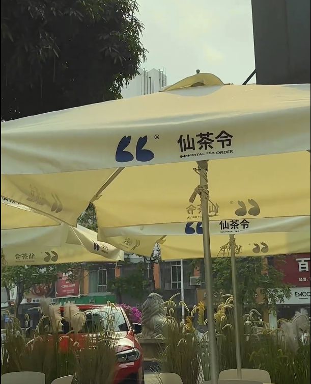 CQ9电子 CQ9传奇电子陆仙人：服装品牌和奶茶店会一直做下去！称有能力谁不想挣更多？