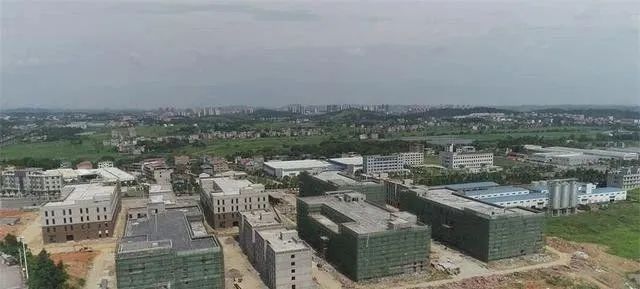 CQ9电子 CQ9传奇电子39家纺织已签约入驻！湖南建设“千亿级”纺织服装生产基地(图6)