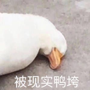 智通人才网“一份实用主义的职场新人择业指北CQ9电子 CQ9传奇电子”