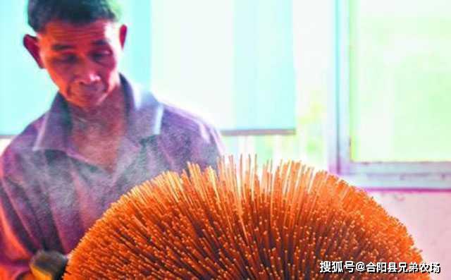 CQ9电子 CQ9传奇电子藏在农村不起眼可以垄断的暴利小生意致富项目(图3)