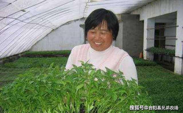 CQ9电子 CQ9传奇电子藏在农村不起眼可以垄断的暴利小生意致富项目(图7)