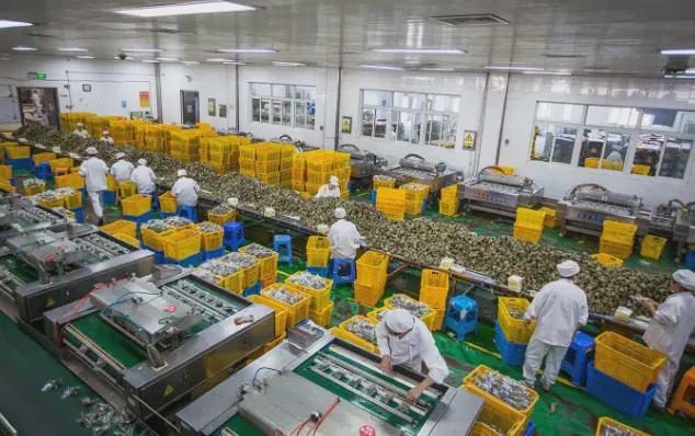 创富内参：这几个CQ9电子 CQ9传奇电子10万以内的小型加工厂做好了年收入百万(图2)