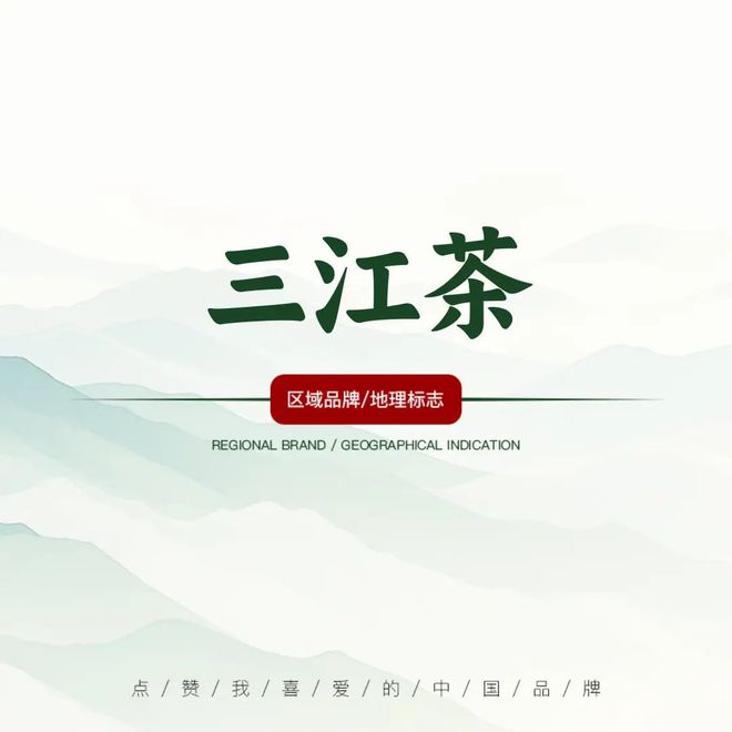 投票丨点赞“2024CQ9电子 CQ9传奇电子我喜爱的中国品牌”——三江茶油、三江茶