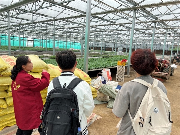 CQ9电子 CQ9传奇电子现代农业促发展！武汉纺织大学学子深入大棚种植基地开展实践活动(图2)