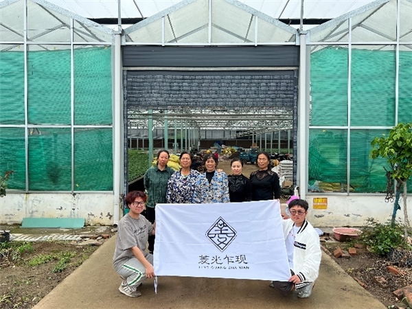 CQ9电子 CQ9传奇电子现代农业促发展！武汉纺织大学学子深入大棚种植基地开展实践活动(图4)