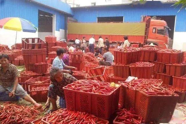CQ9电子 CQ9传奇电子如何赚到100万？农村这9个暴利加工厂非常适合你返乡创业来干！(图2)