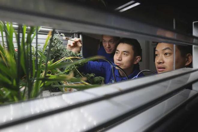 我国飞得最久的航天员叶光富二度飞天：8岁CQ9电子 CQ9传奇电子丧父农民妈妈培养他(图23)
